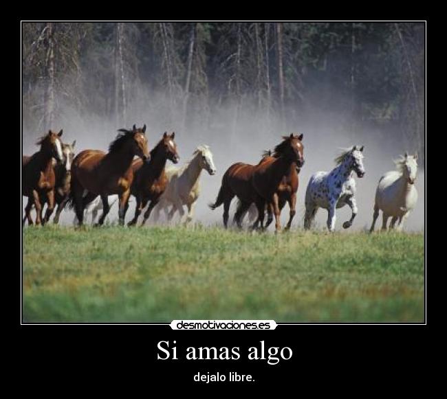 carteles nada desmotivaciones