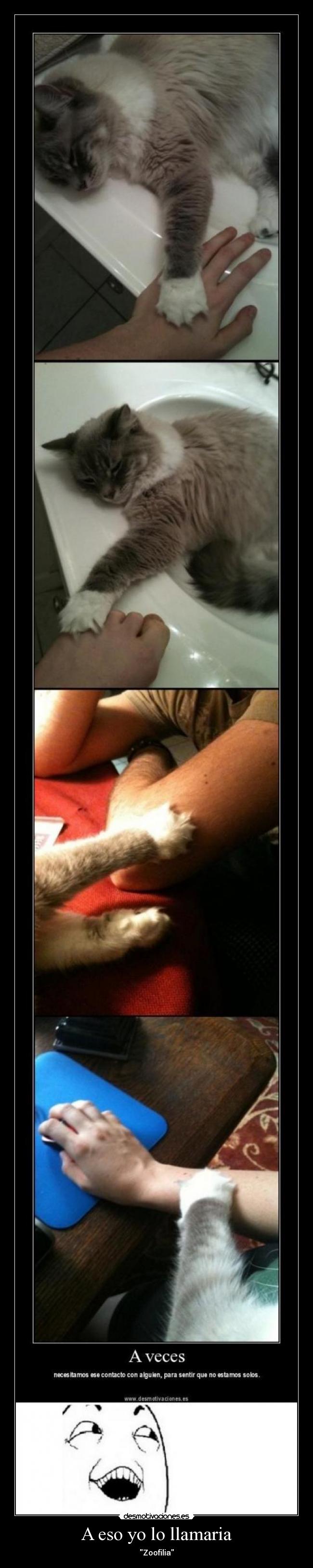 A eso yo lo llamaria -