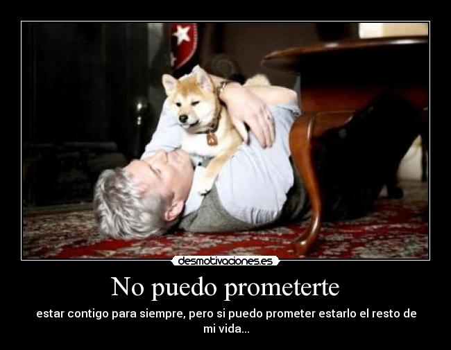 No puedo prometerte - 