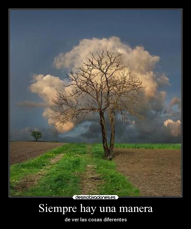 Siempre hay una manera -