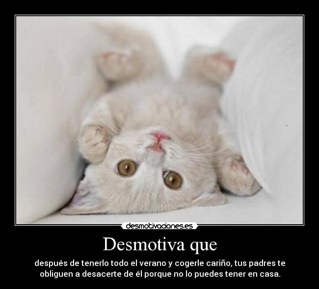 Desmotiva que - después de tenerlo todo el verano y cogerle cariño, tus padres te
obliguen a desacerte de él porque no lo puedes tener en casa.