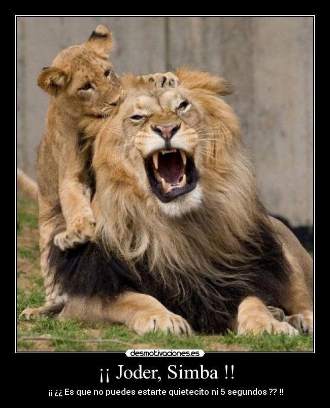 carteles wwwdesmotivacioneses desmotivaciones