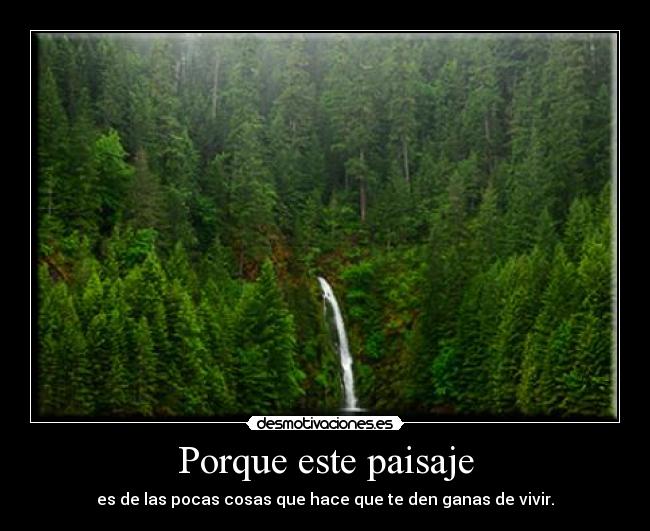 Porque este paisaje -