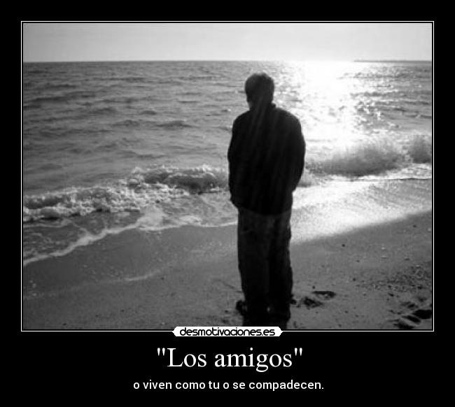 carteles amigos fuckando desmotivaciones