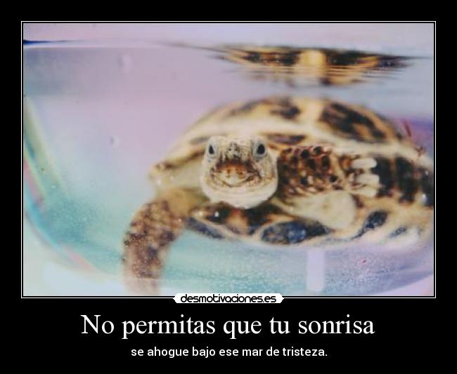 No permitas que tu sonrisa - se ahogue bajo ese mar de tristeza.