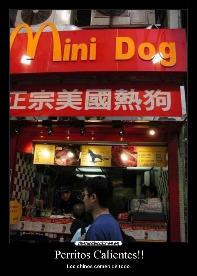 Perritos Calientes!! - Los chinos comen de todo.