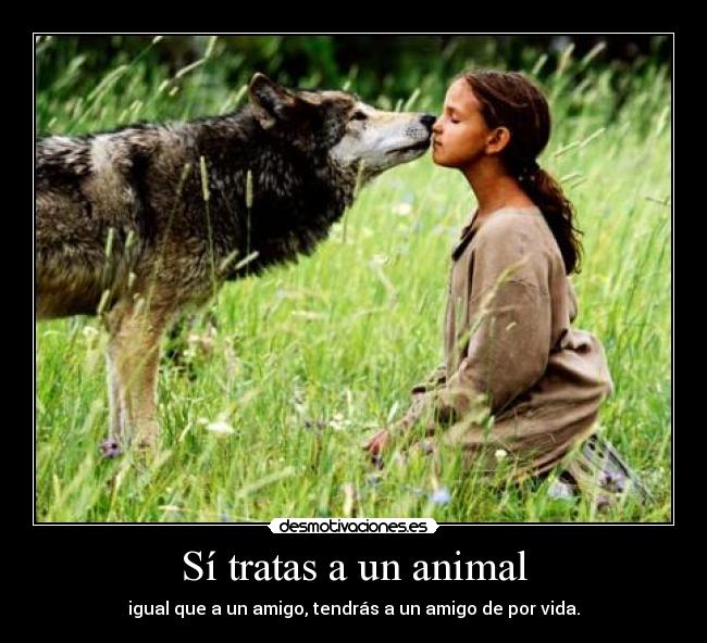 Sí tratas a un animal -