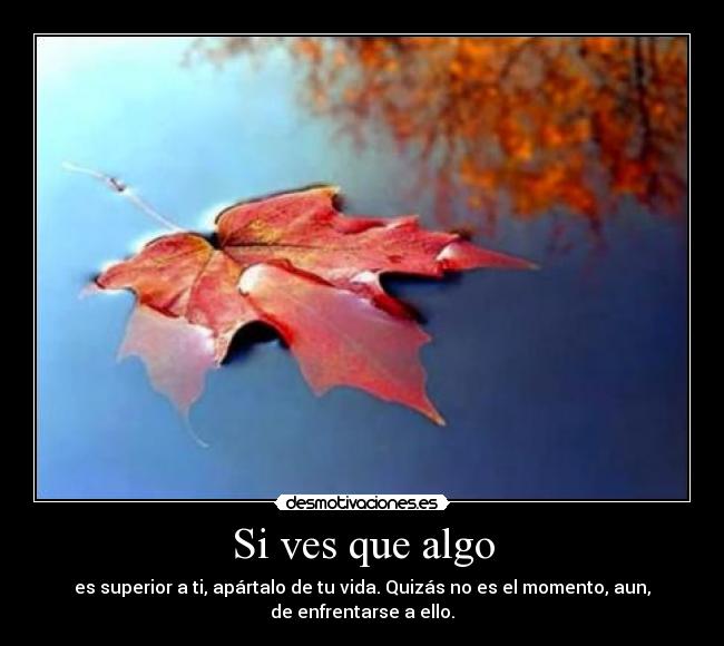 carteles elalienveloz desmotivaciones