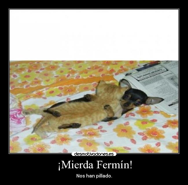 ¡Mierda Fermín! - 