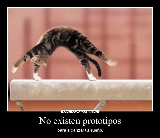 No existen prototipos - 