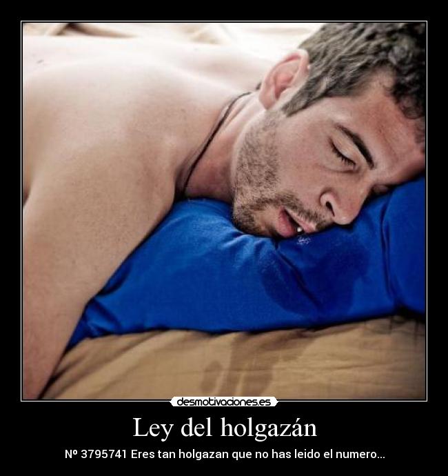 Ley del holgazán - Nº 3795741 Eres tan holgazan que no has leido el numero...