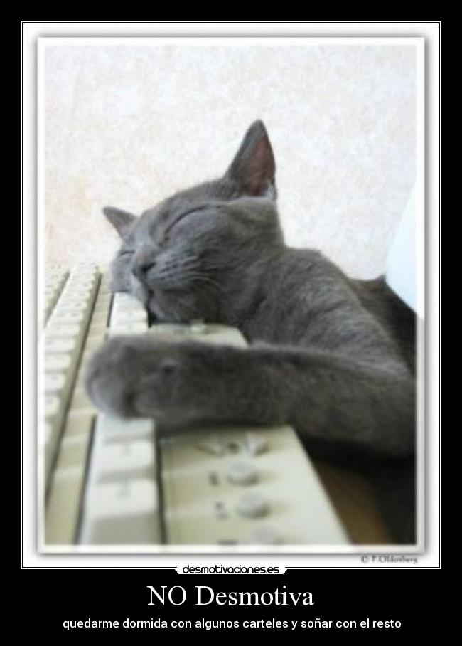NO Desmotiva - quedarme dormida con algunos carteles y soñar con el resto