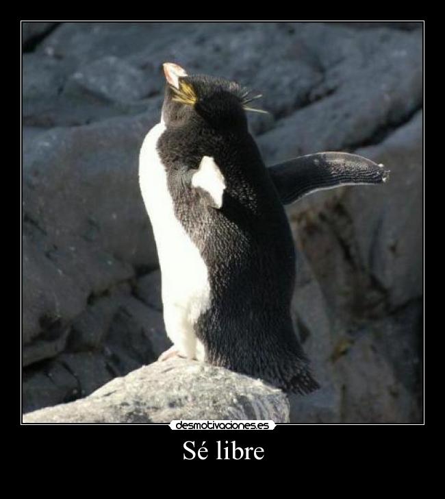 Sé libre - 