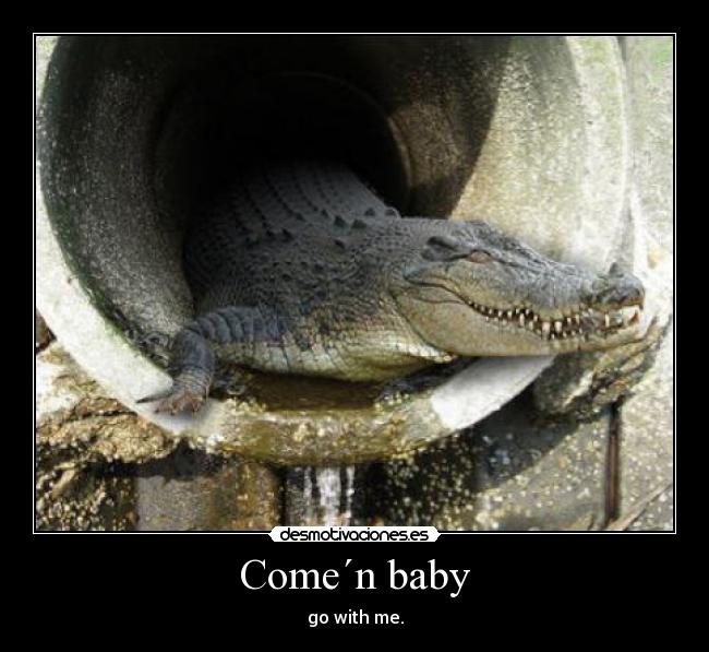 carteles codrilo ligon desmotivaciones