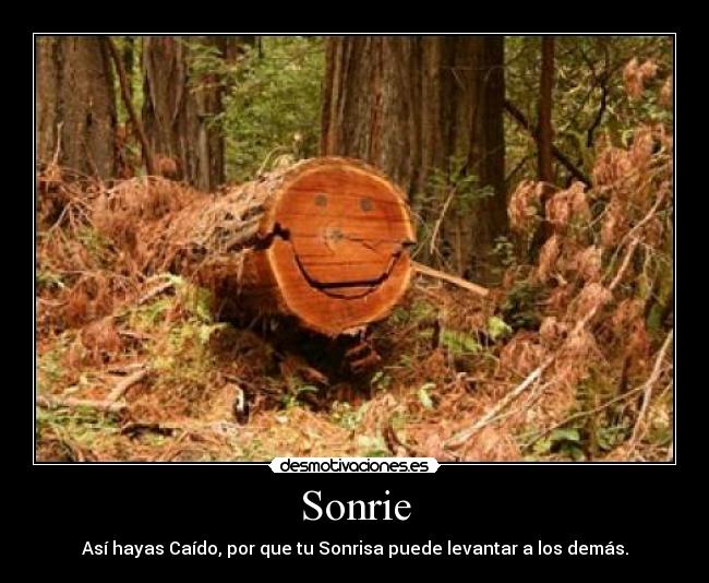 Sonrie - Así hayas Caído, por que tu Sonrisa puede levantar a los demás.