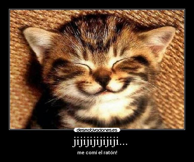   jijijijijijiji... - me comí el ratón!