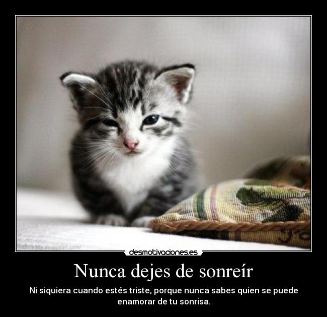 Nunca dejes de sonreír - Ni siquiera cuando estés triste, porque nunca sabes quien se puede
enamorar de tu sonrisa.