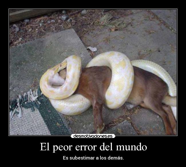 El peor error del mundo -