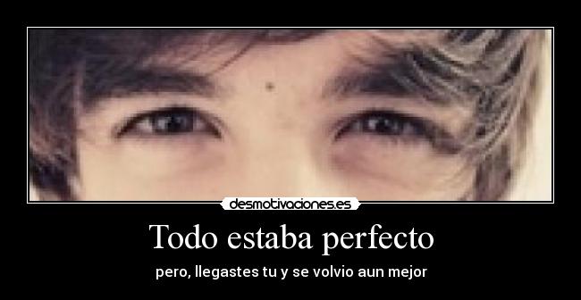 Todo estaba perfecto - 