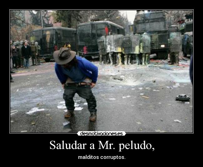 Saludar a Mr. peludo, - 