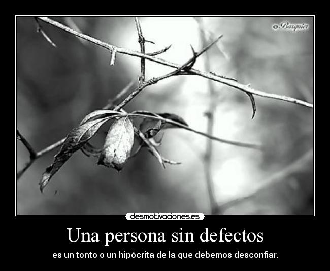 Una persona sin defectos - es un tonto o un hipócrita de la que debemos desconfiar.