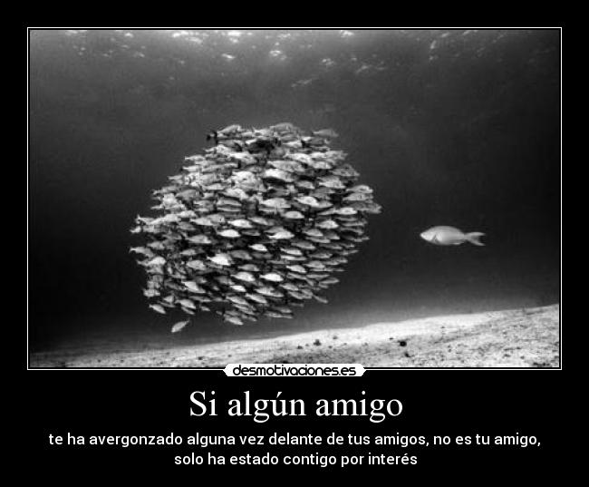 Si algún amigo -