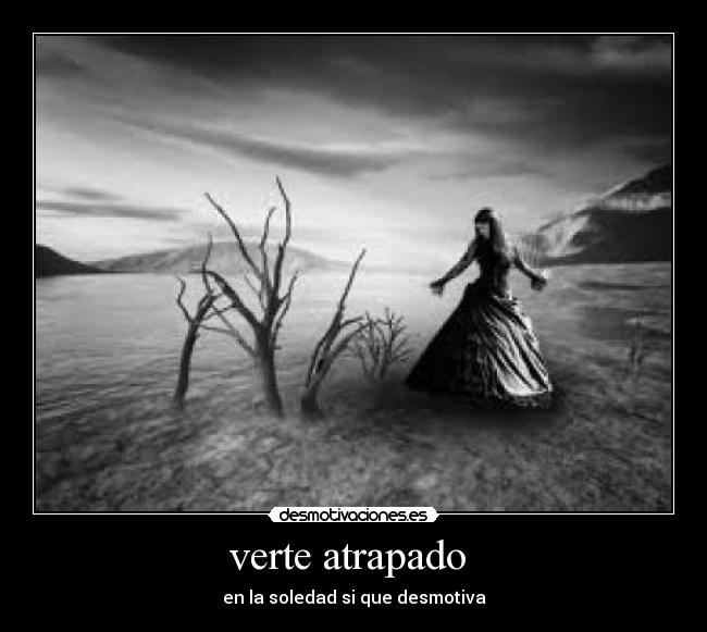 verte atrapado - en la soledad si que desmotiva