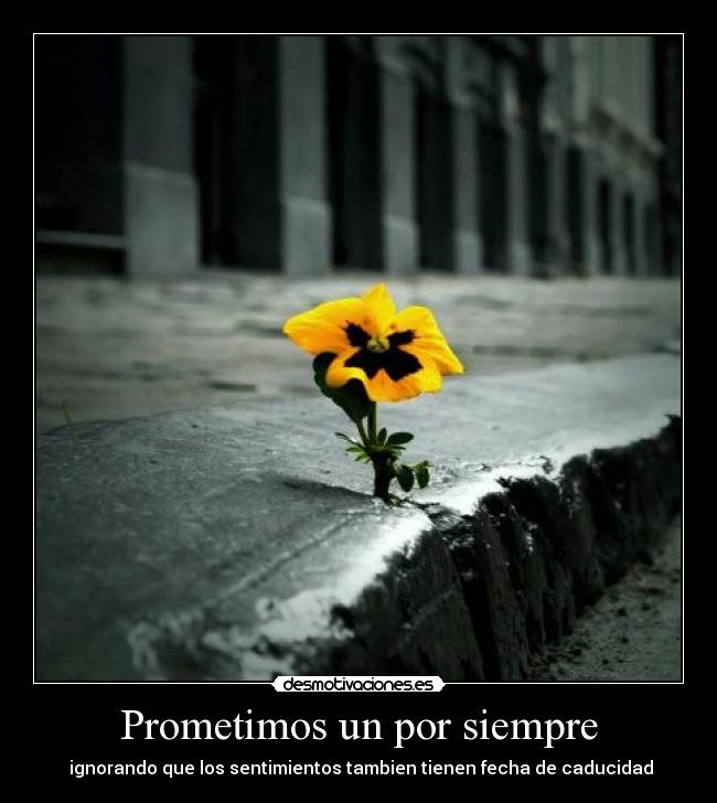 Prometimos un por siempre - 