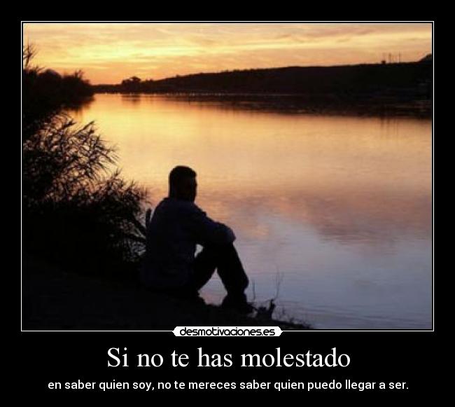 carteles ichbinderhaifisch desmotivaciones