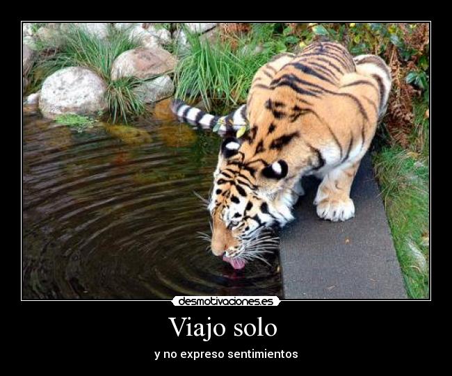 Viajo solo - y no expreso sentimientos