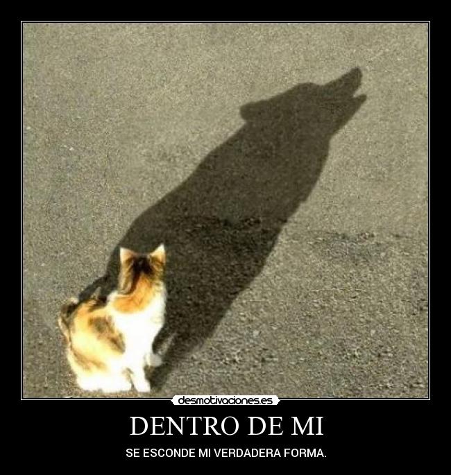 DENTRO DE MI - SE ESCONDE MI VERDADERA FORMA.