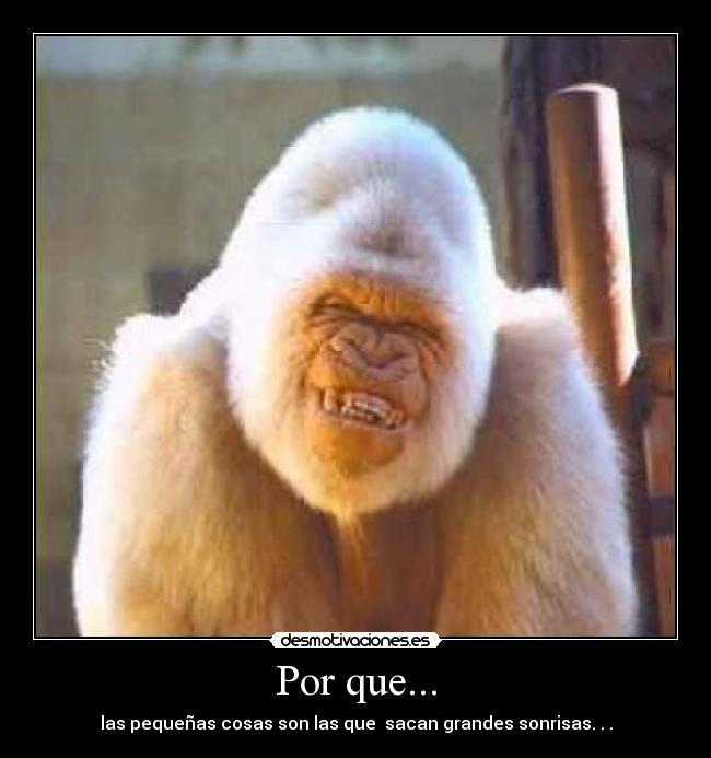 Por que... - 