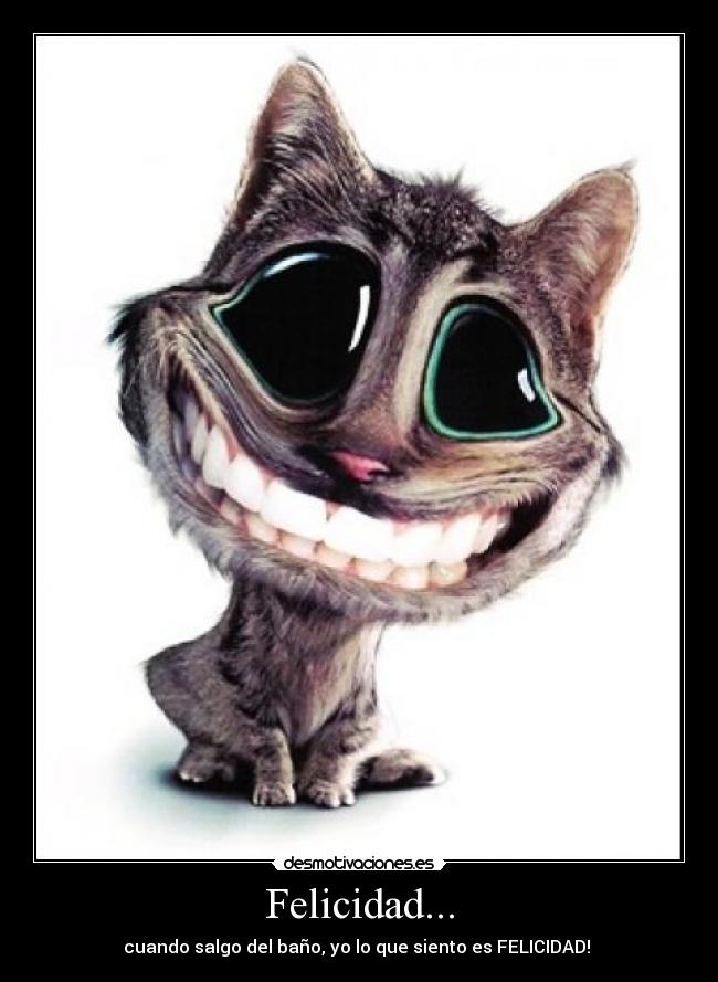 Felicidad... - cuando salgo del baño, yo lo que siento es FELICIDAD! 