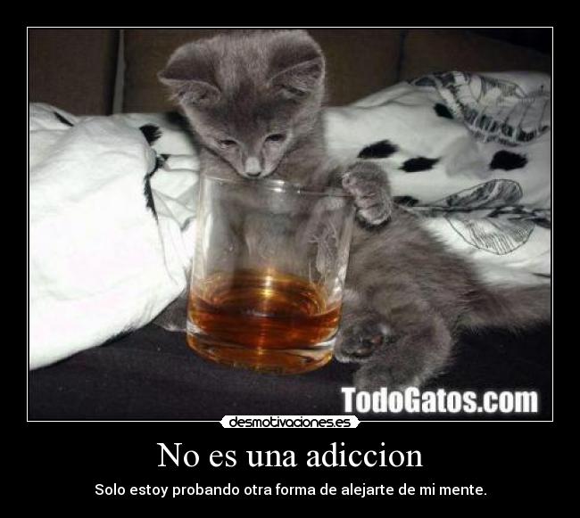 carteles una copa alcoholismo desmotivaciones