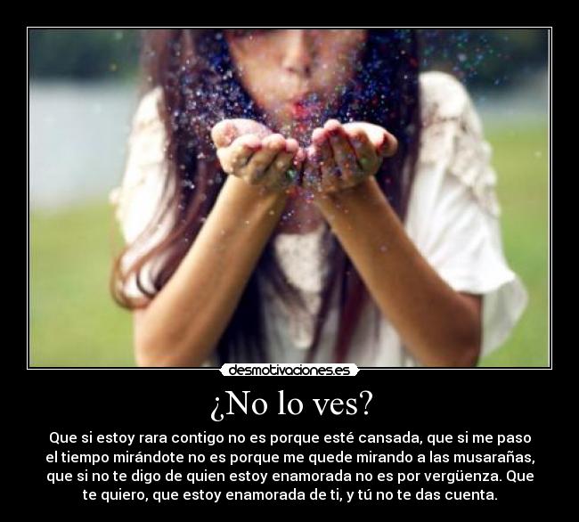 ¿No lo ves? -