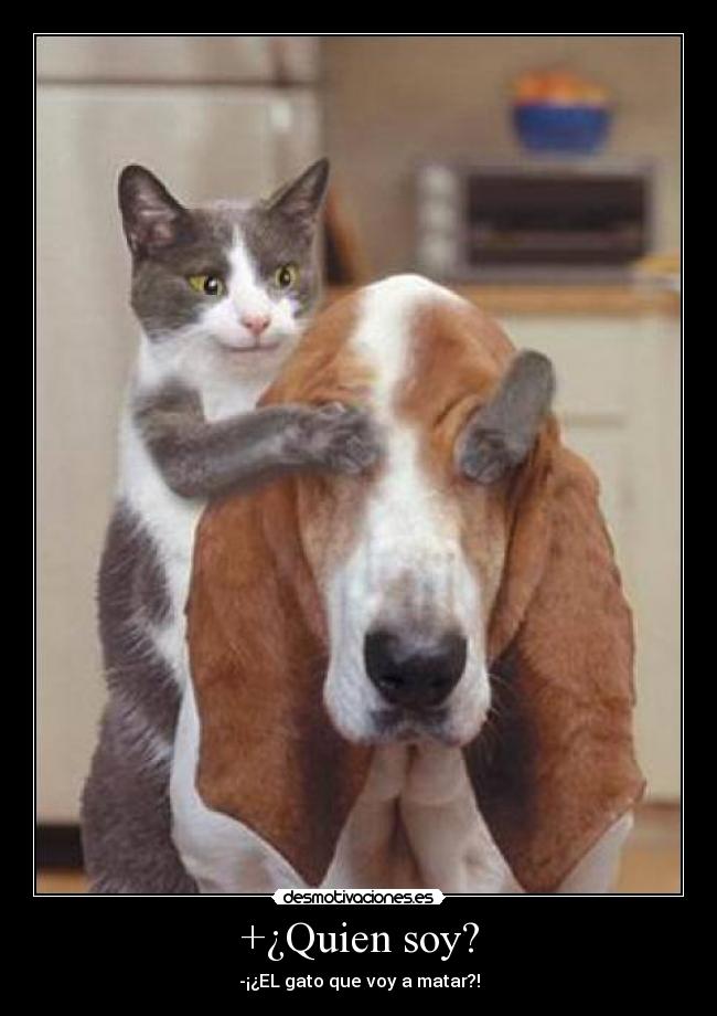 +¿Quien soy? - -¡¿EL gato que voy a matar?!