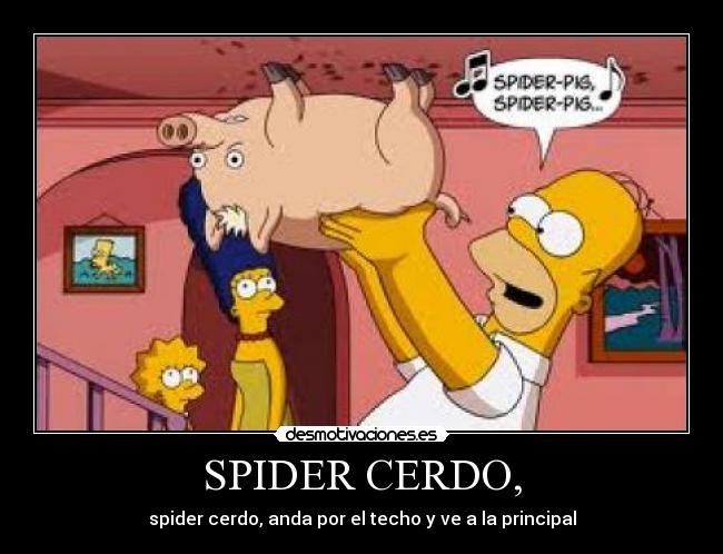 SPIDER CERDO, -