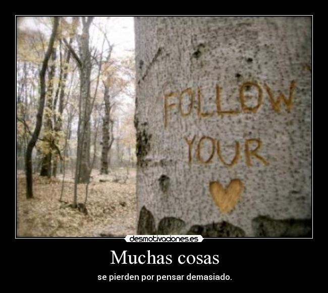 Muchas cosas - se pierden por pensar demasiado.