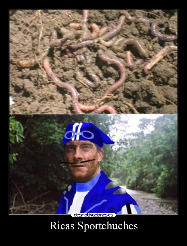 Ricas Sportchuches - 