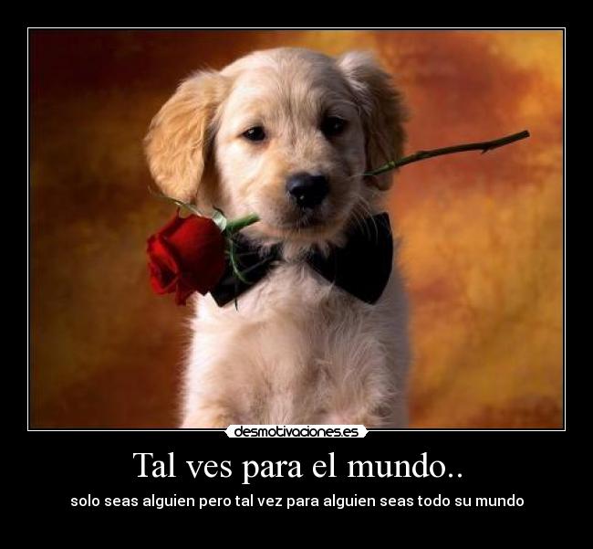 Tal ves para el mundo.. - solo seas alguien pero tal vez para alguien seas todo su mundo