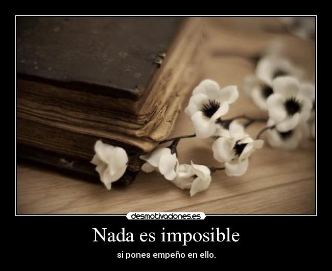 Nada es imposible - 