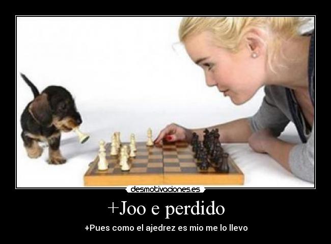 +Joo e perdido - +Pues como el ajedrez es mio me lo llevo