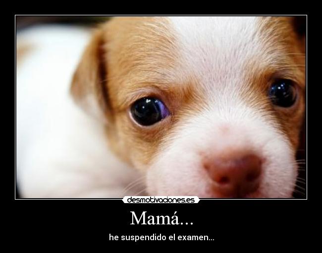 Mamá... - he suspendido el examen...
