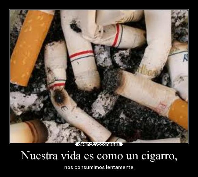 Nuestra vida es como un cigarro, - nos consumimos lentamente.
