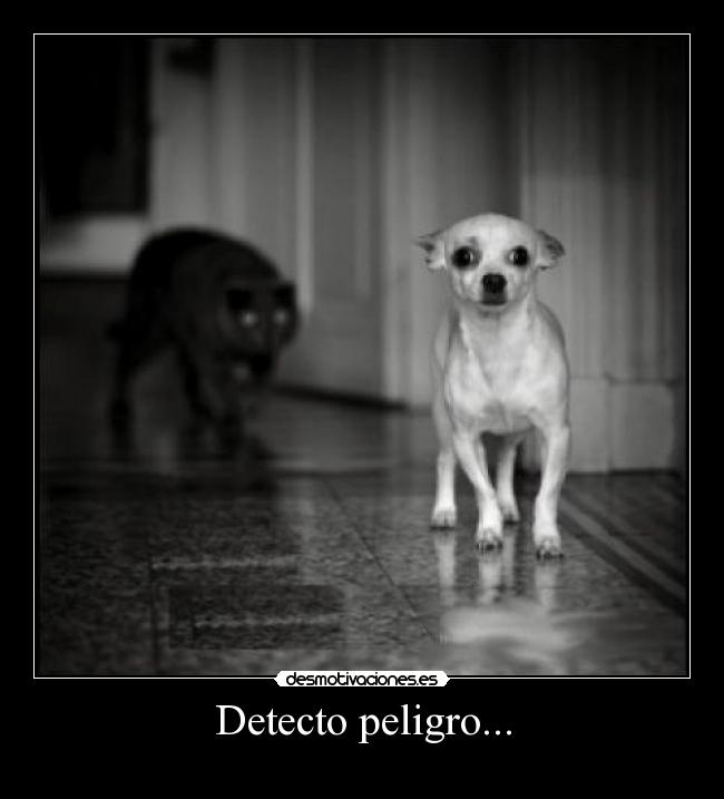 Detecto peligro... -