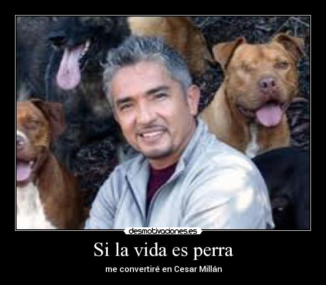 Si la vida es perra - 