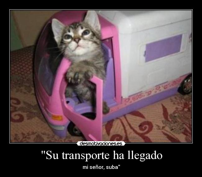 Su transporte ha llegado - 
