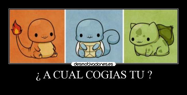 ¿ A CUAL COGIAS TU ? -