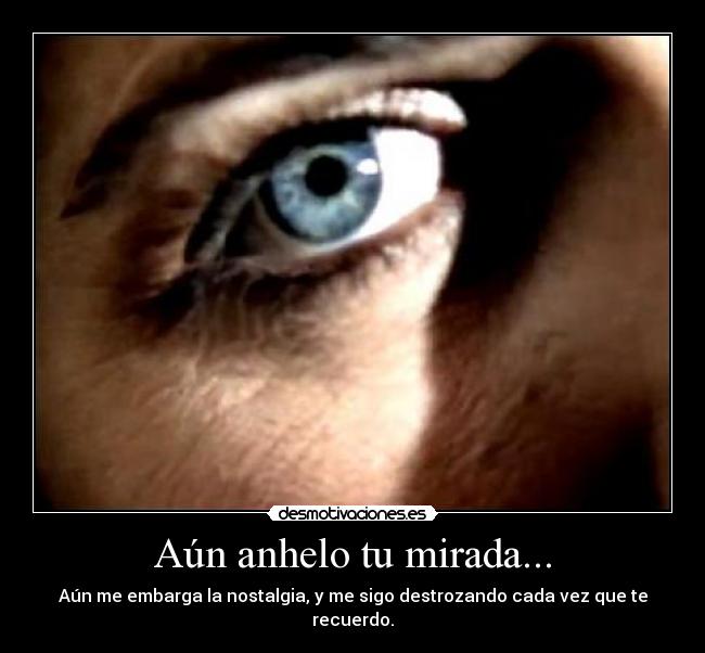 Aún anhelo tu mirada... - 