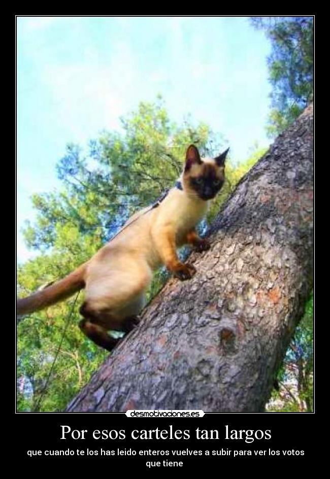 Por esos carteles tan largos -